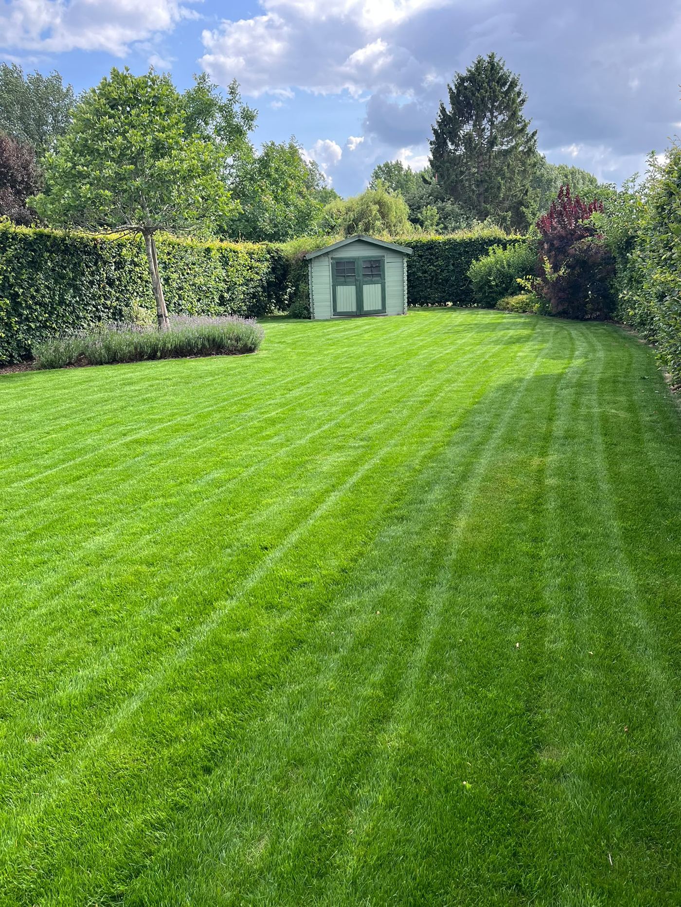 Pelouse fraîchement tondue par QuickGarden